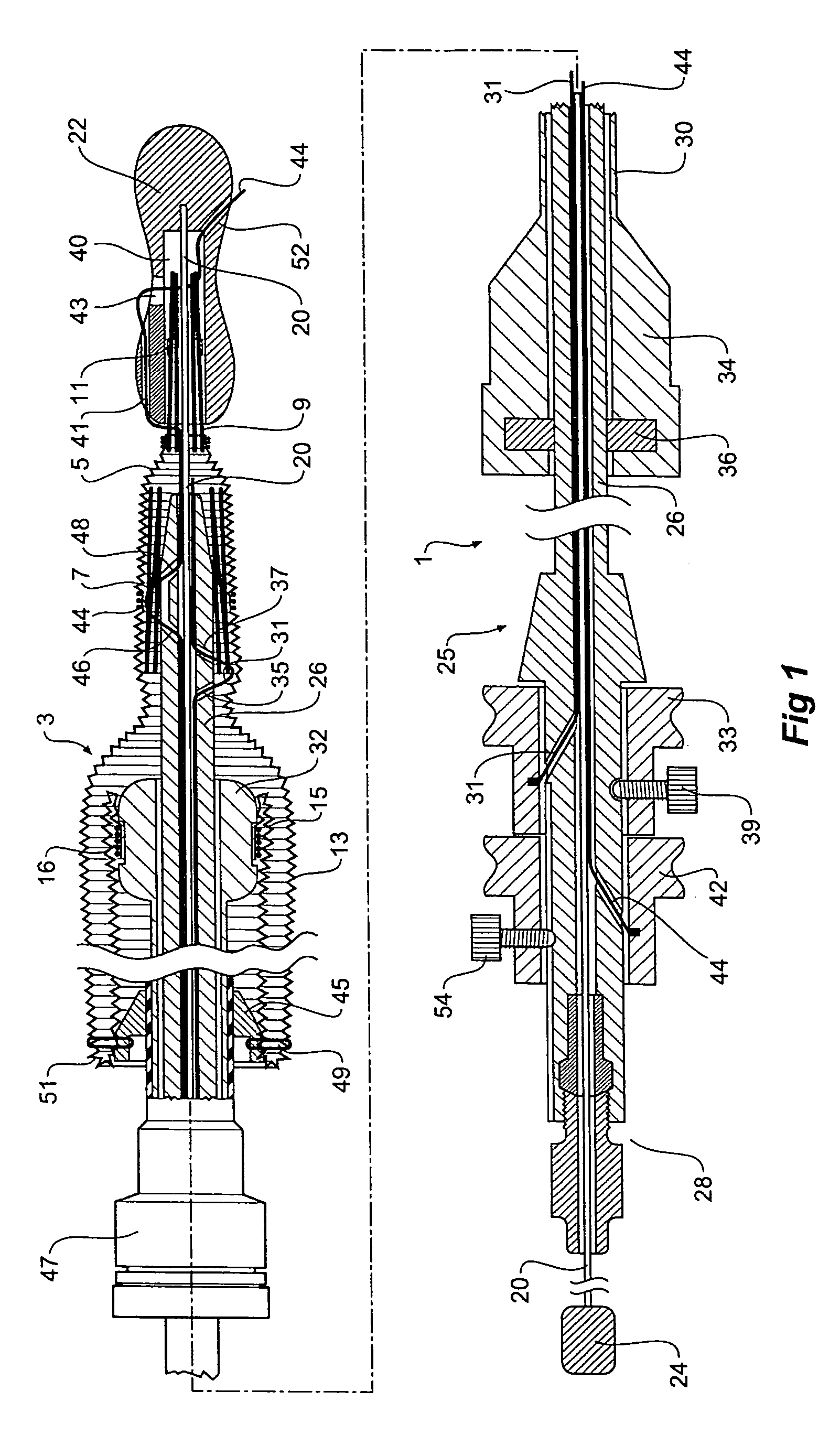 Device and method for treating thoracic aorta