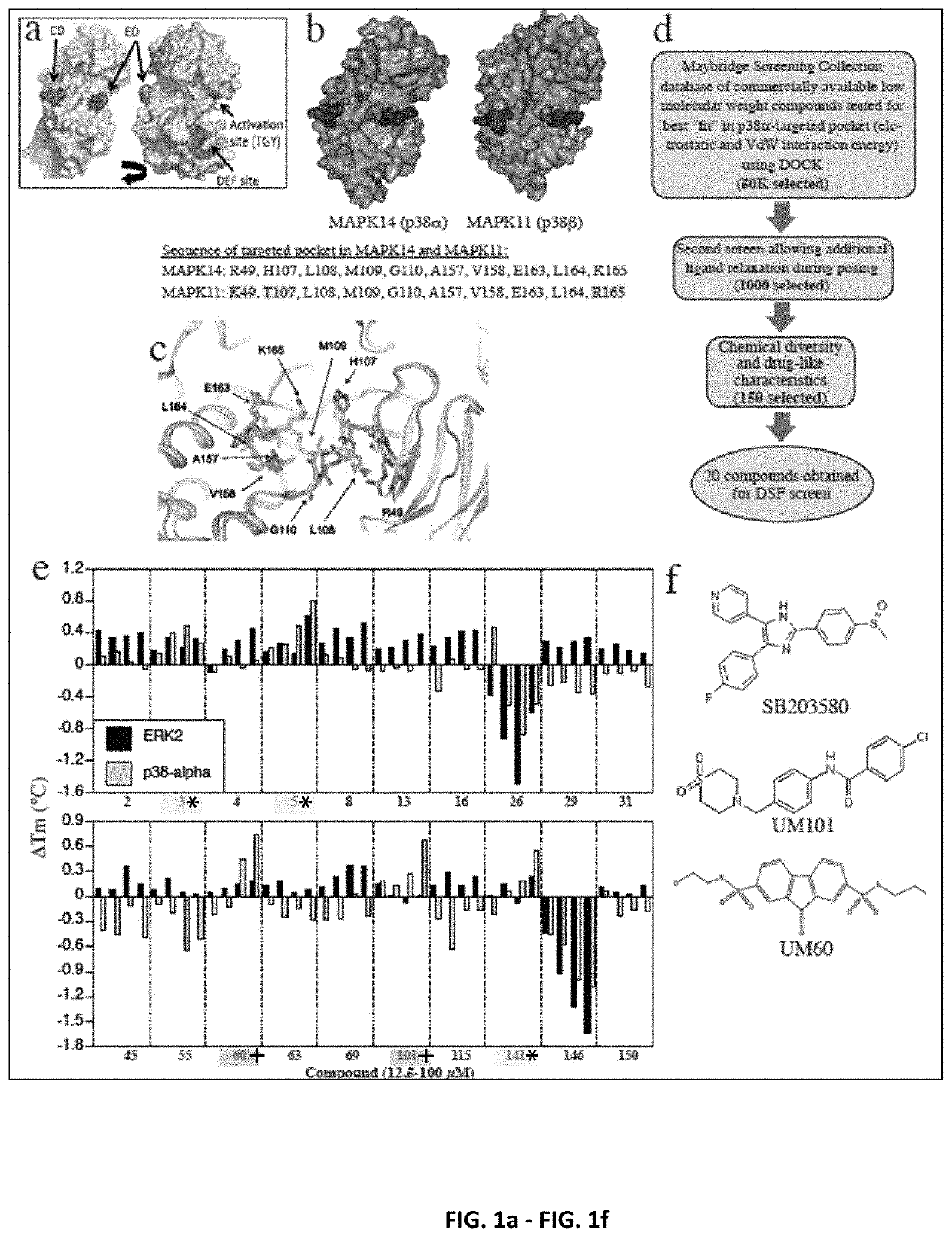 Non-catalytic substrate-selective, p38α-specific MAPK inhibitors with endothelial-stabilizing and anti-inflammatory activity, and methods of use thereof