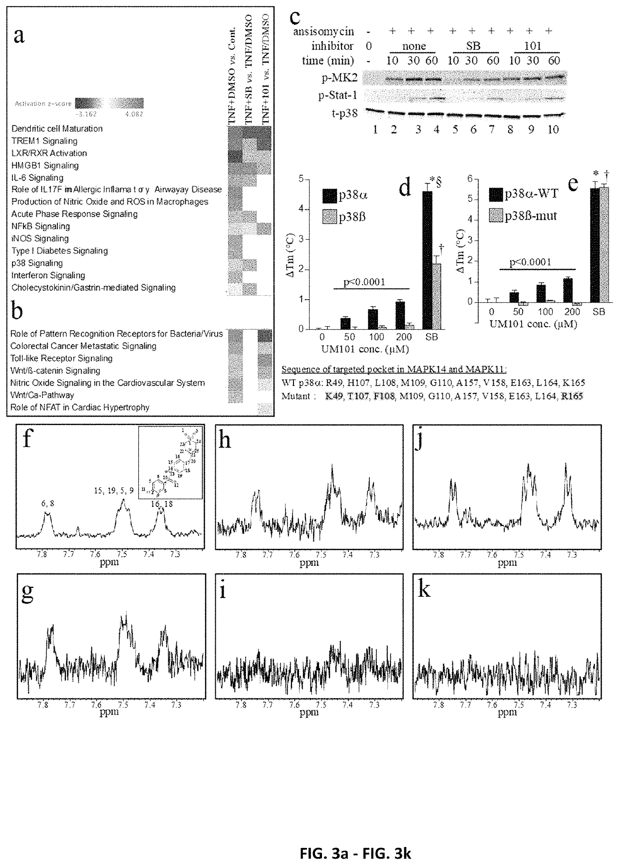 Non-catalytic substrate-selective, p38α-specific MAPK inhibitors with endothelial-stabilizing and anti-inflammatory activity, and methods of use thereof