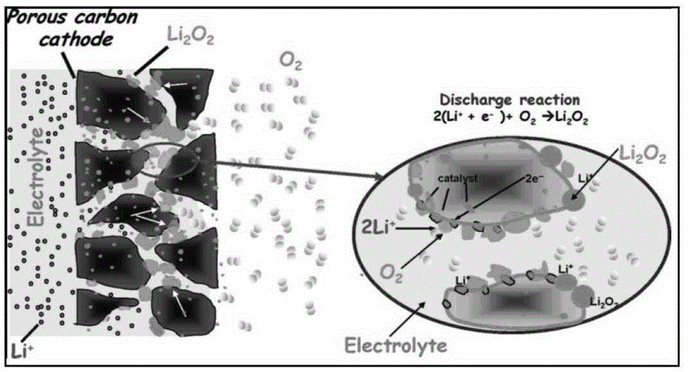 Nitrogen-doped porous carbon material for lithium-air battery cathode