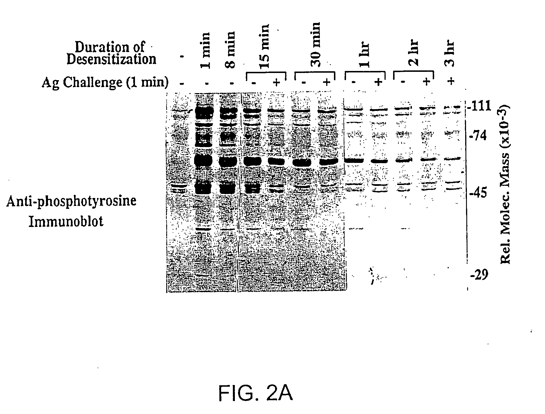 Product and method for treatment of conditions associated with receptor-desensitization