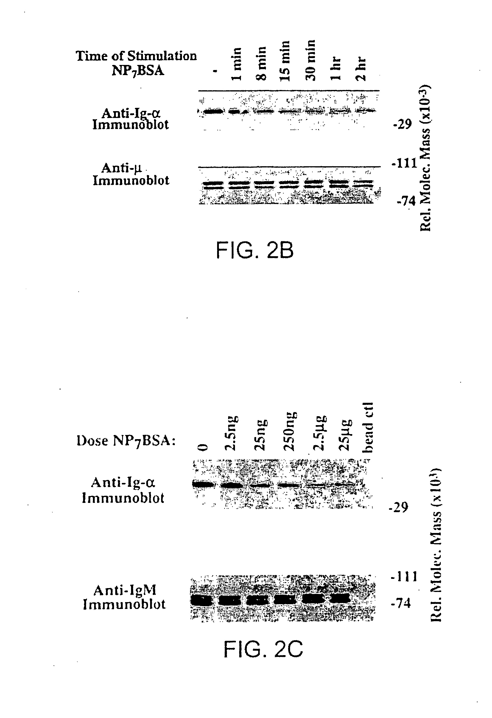 Product and method for treatment of conditions associated with receptor-desensitization
