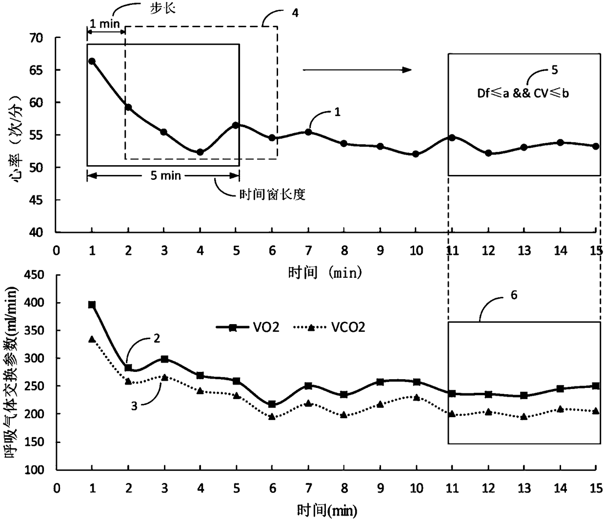 Rapid acquisition method of resting metabolic rate based on sliding window heart rate signal analysis