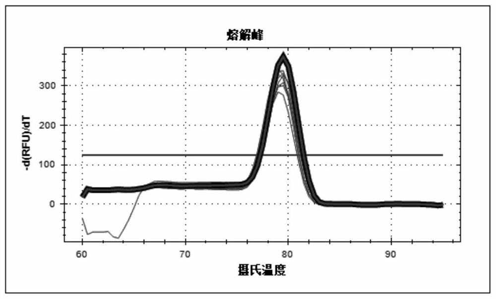 RT-qPCR detection method of abcg2 gene transcription level in macaques