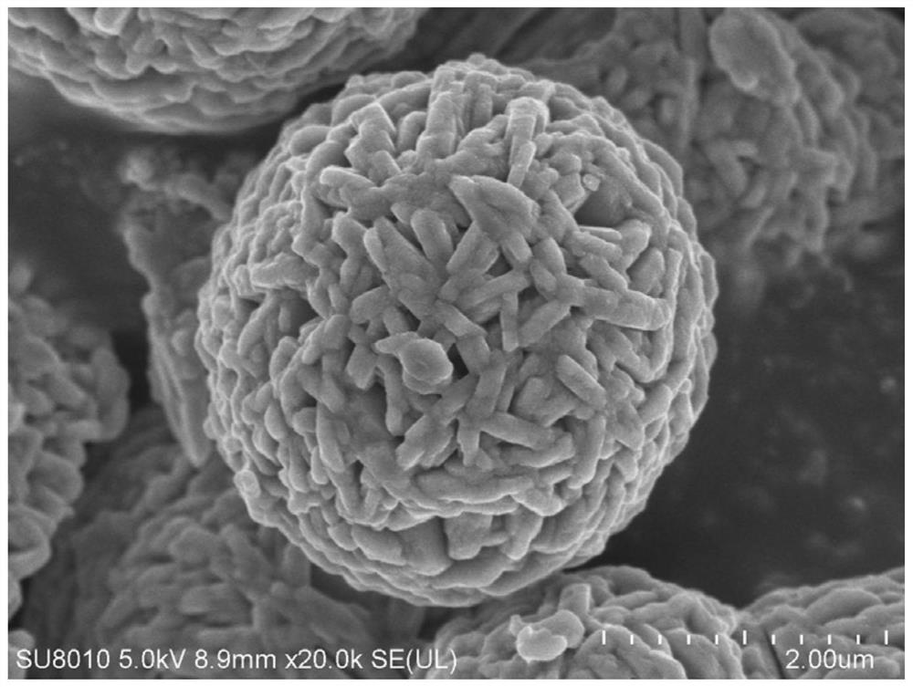 Preparation method and application of precursor of aluminum and zirconium doped lithium nickelate positive electrode material