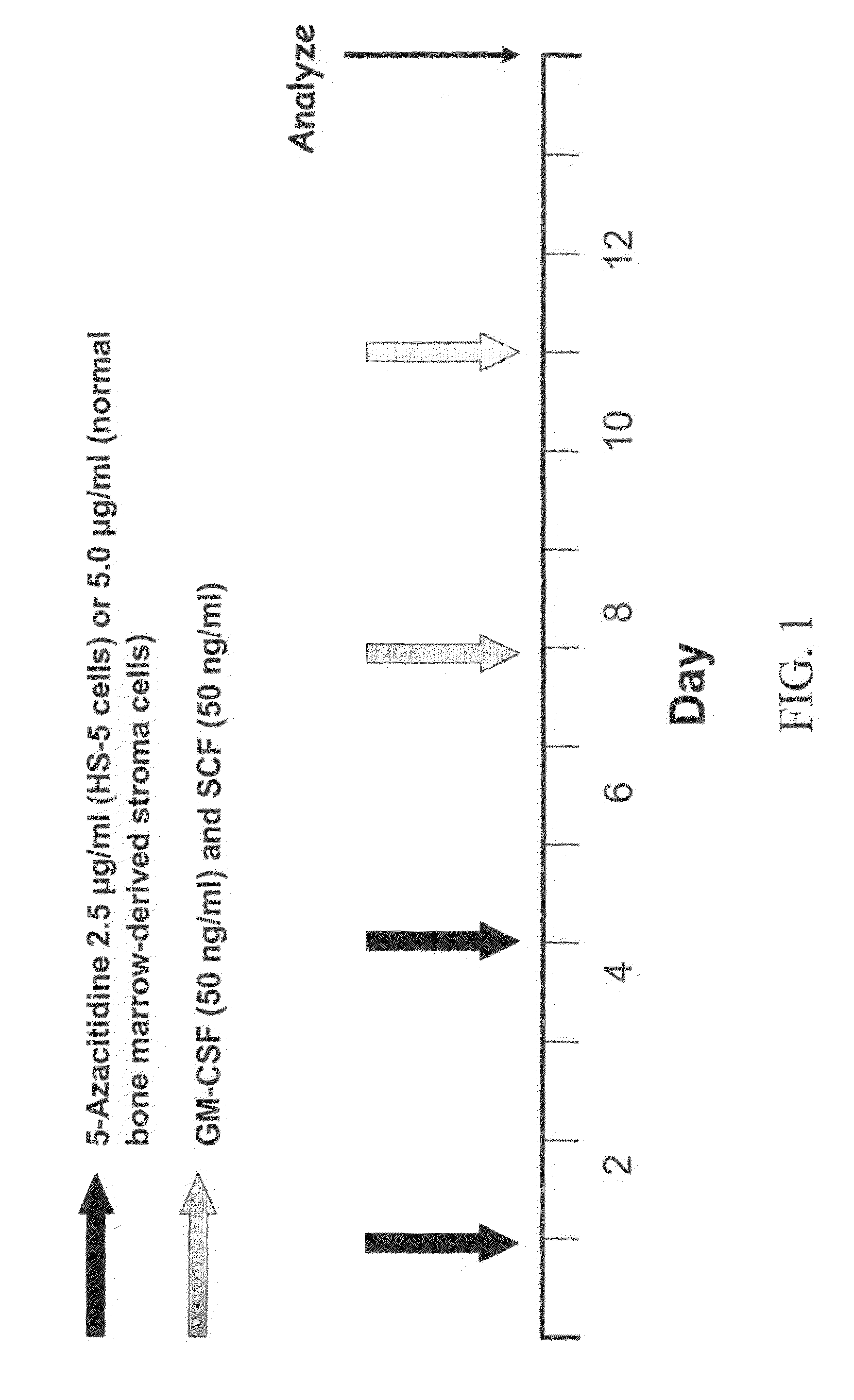 Methods for transdifferentiating cells