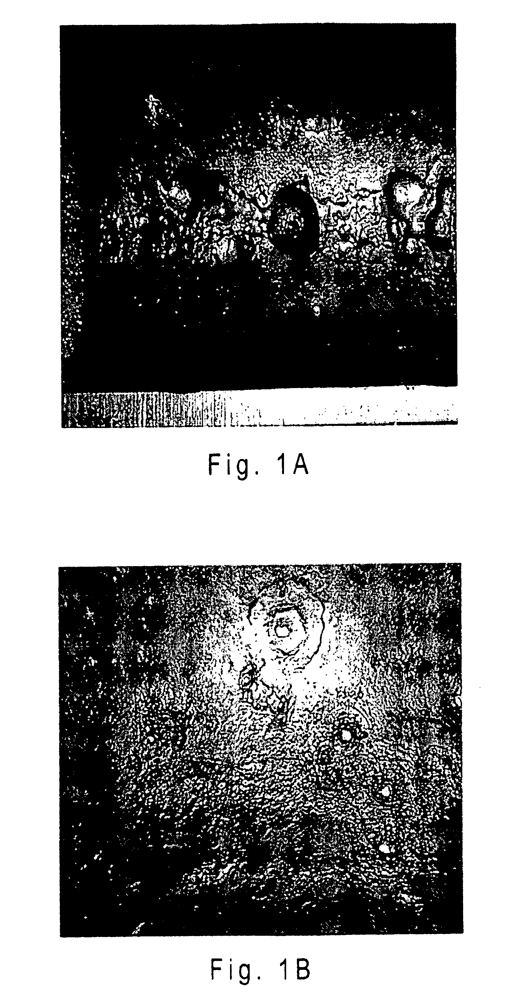 Corrosion inhibitors and methods of use