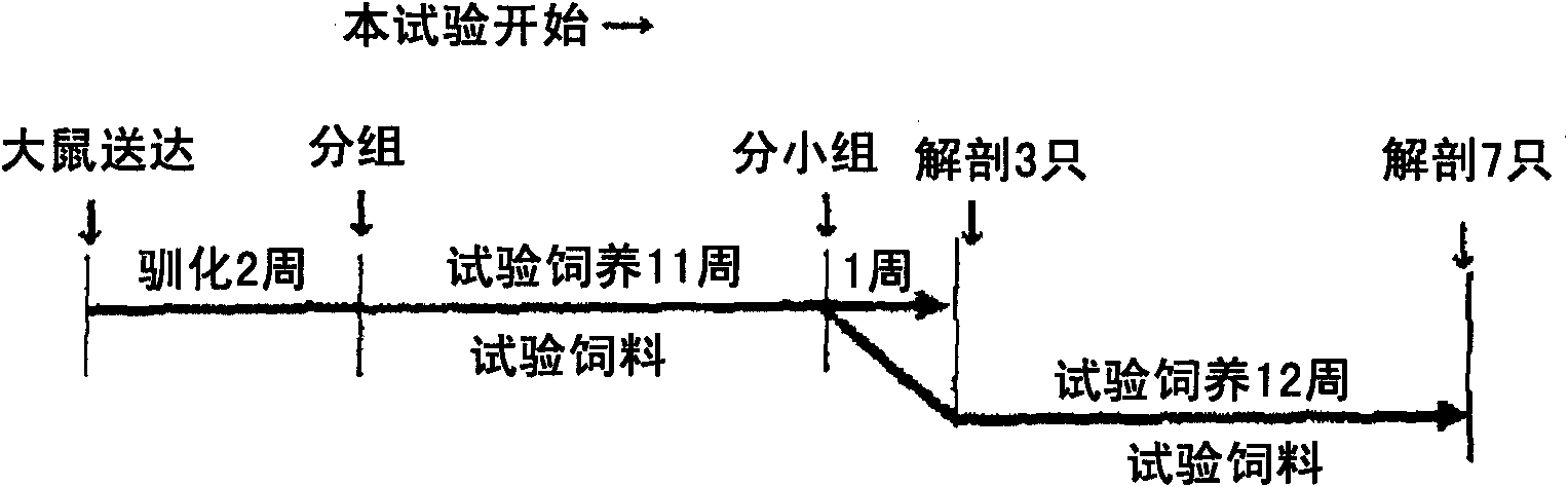 Ceramide and collagen synthesis promoter and collagen saccharification inhibitor