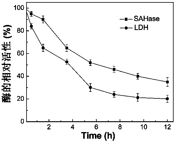 Double-enzyme system for efficiently synthesizing S-adenosylhomocysteine and application method thereof