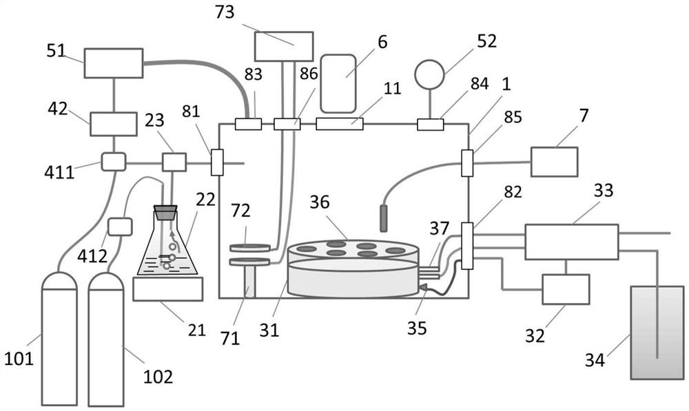 Experimental device and method for Mars in situ spectroscopic coupling