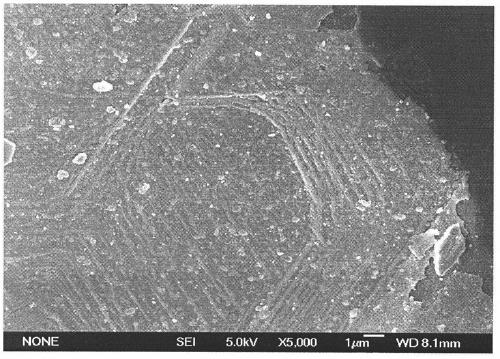 A kind of process of coating CuO film on the surface of cubic boron nitride