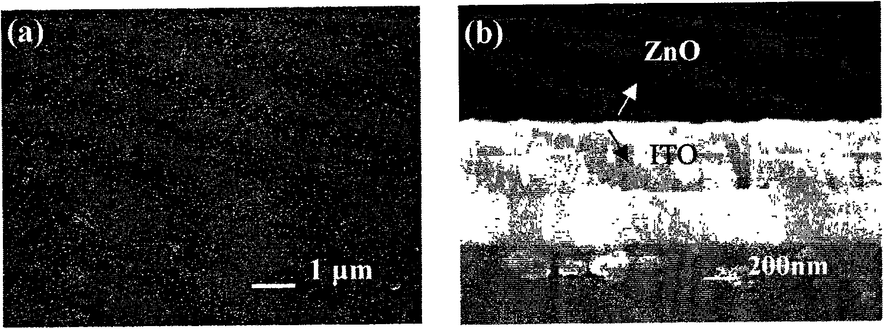 Modified method for preparing single c-axis oriented zinc oxide film by electrochemical deposition process