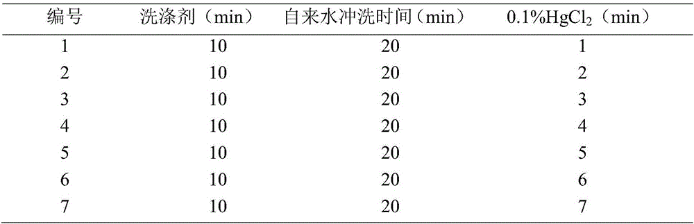 Tissue culture method for physochlaina