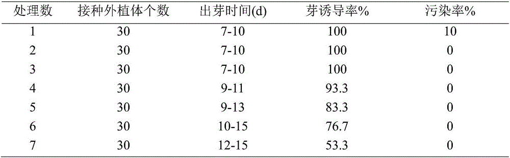 Tissue culture method for physochlaina