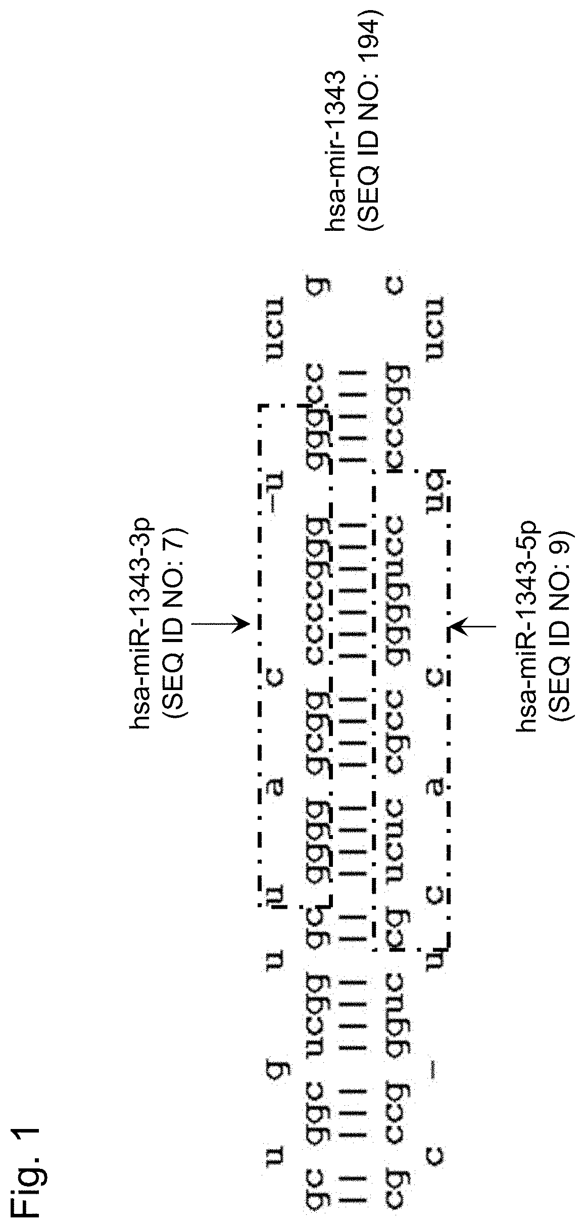 Prostate cancer detection kit or device, and detection method