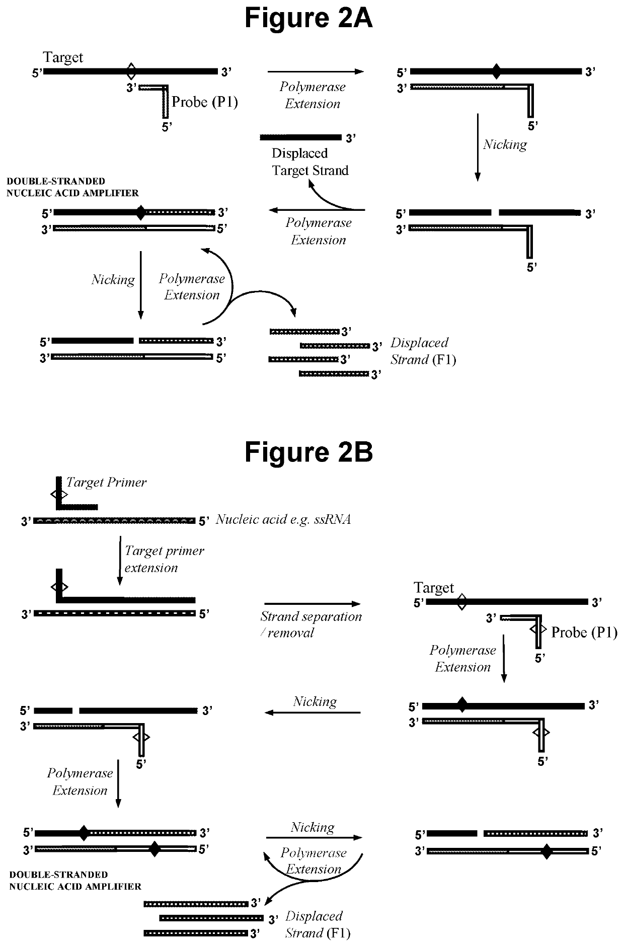 Nucleic acid detection method