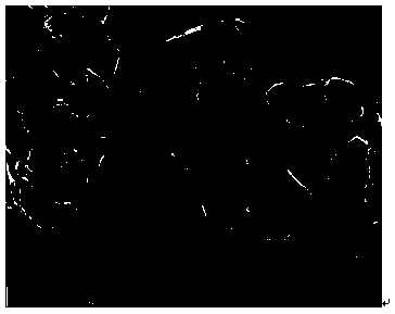 Preparation method of spinel lithium manganate