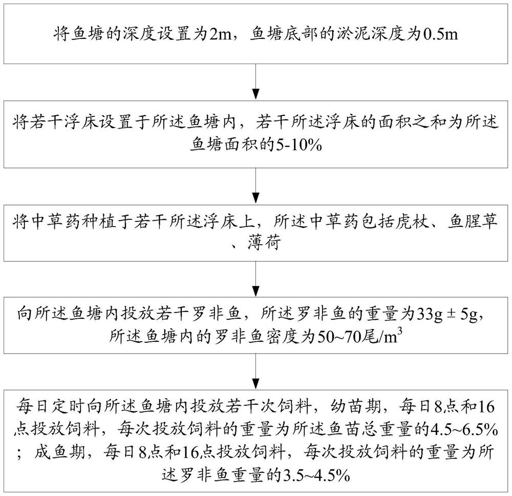 Breeding method for improving intestinal immunity of tilapia mossambica