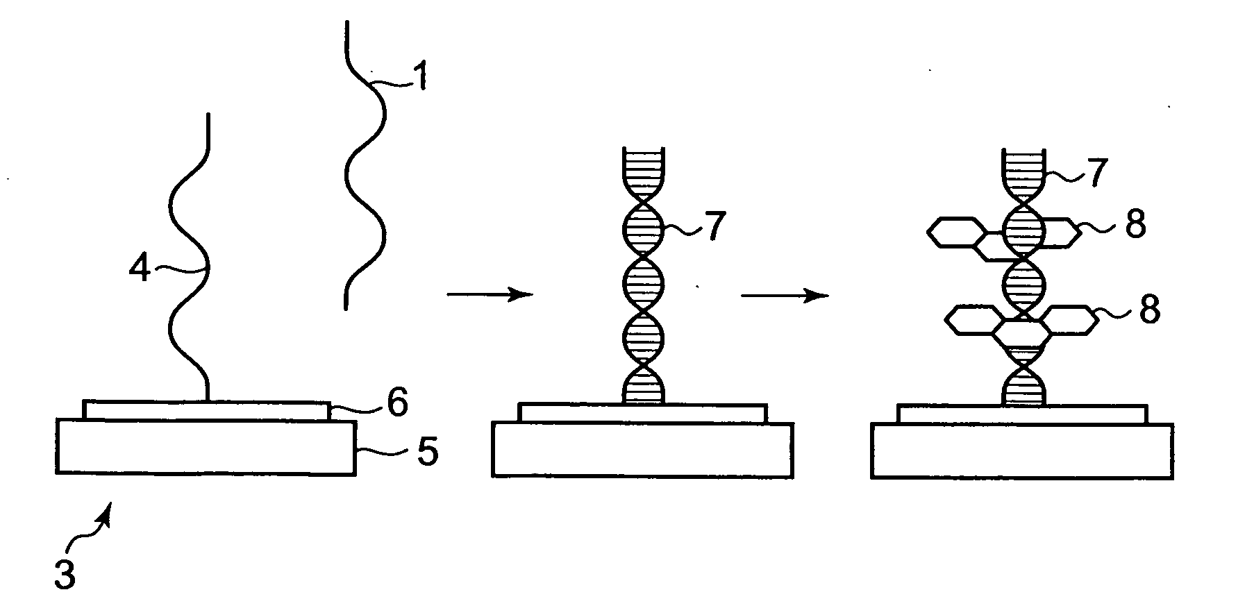 Method for Specifically Detecting Analyte Using Photocurrent, and Electrode, Measuring Cell and Measuring Device for Use Therein