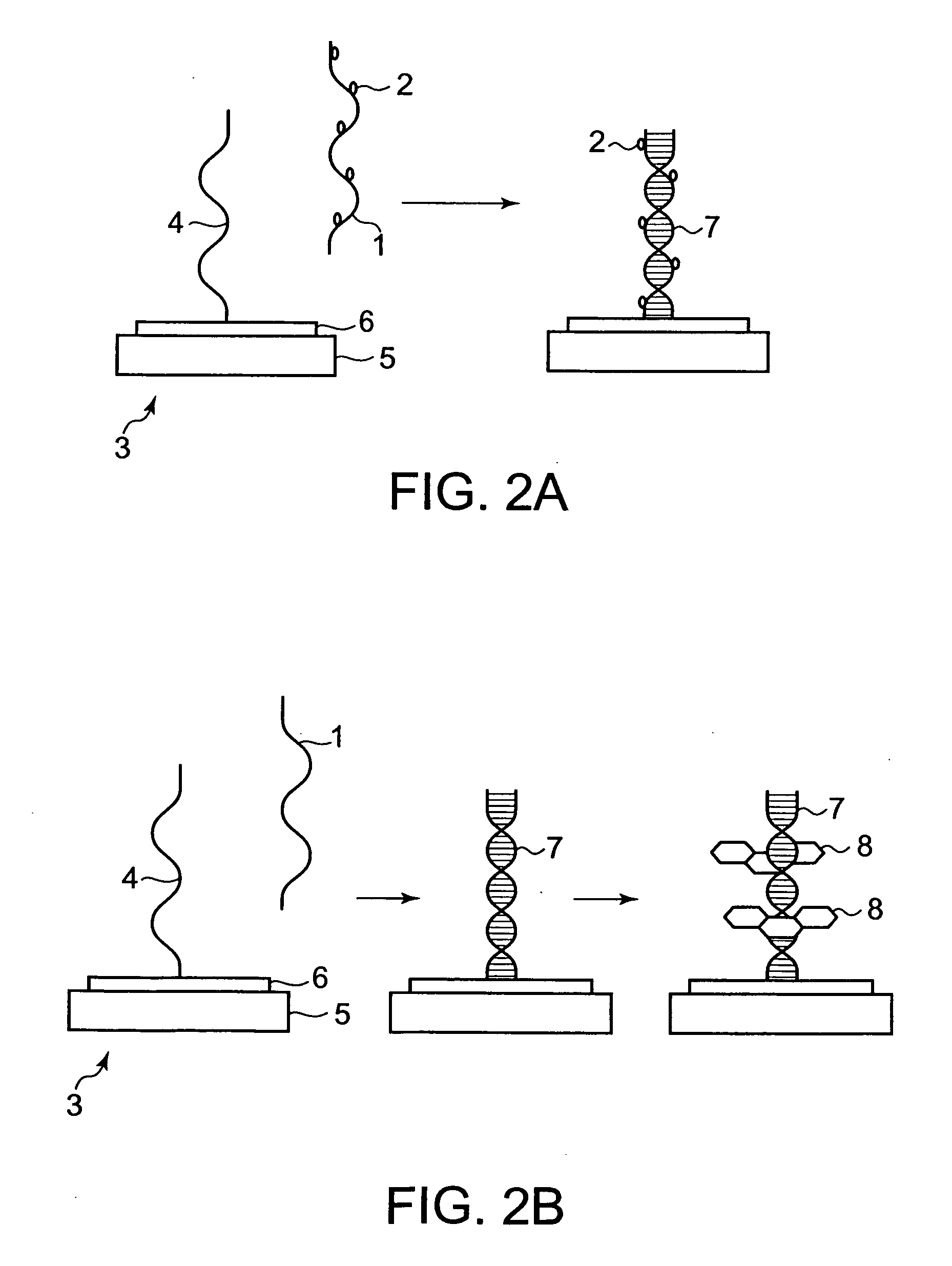 Method for Specifically Detecting Analyte Using Photocurrent, and Electrode, Measuring Cell and Measuring Device for Use Therein