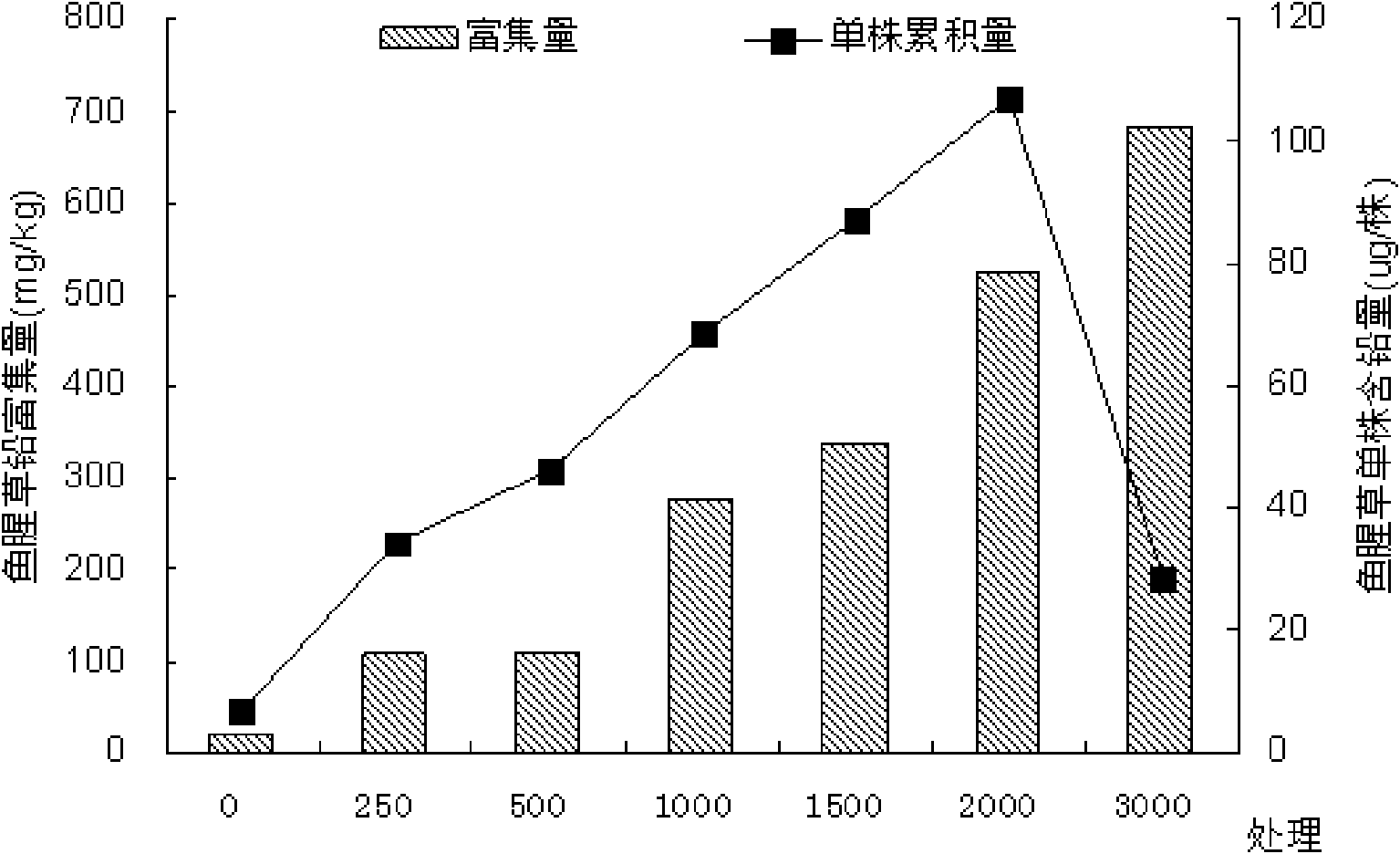 Application of houttuynia cordata in restoring lead-polluted soil