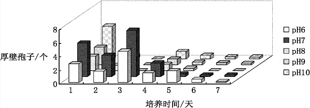 Induction technology of anabaena flosaquae chlamydospore and preparation method of dry algae powder thereof