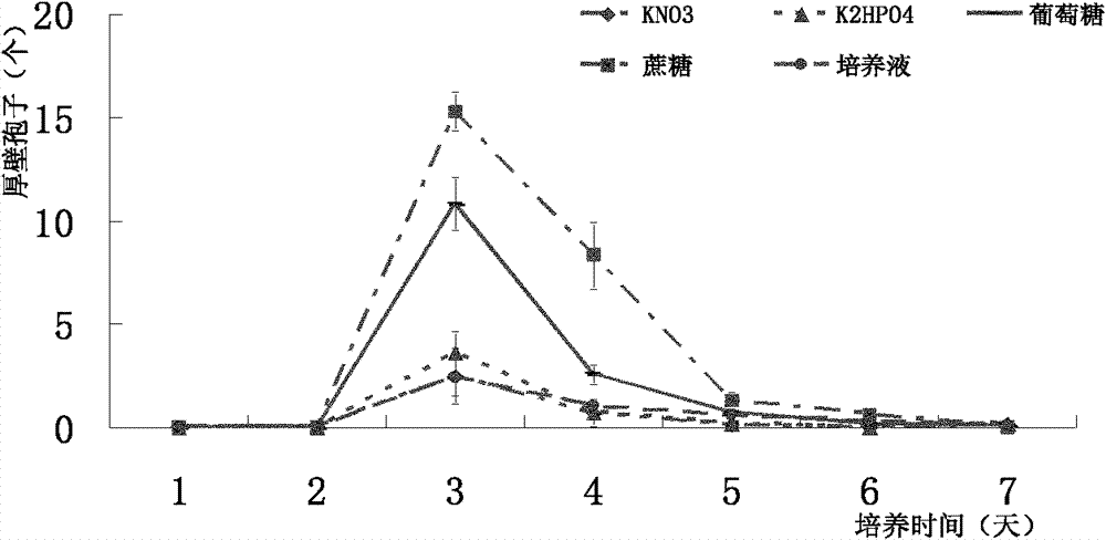 Induction technology of anabaena flosaquae chlamydospore and preparation method of dry algae powder thereof