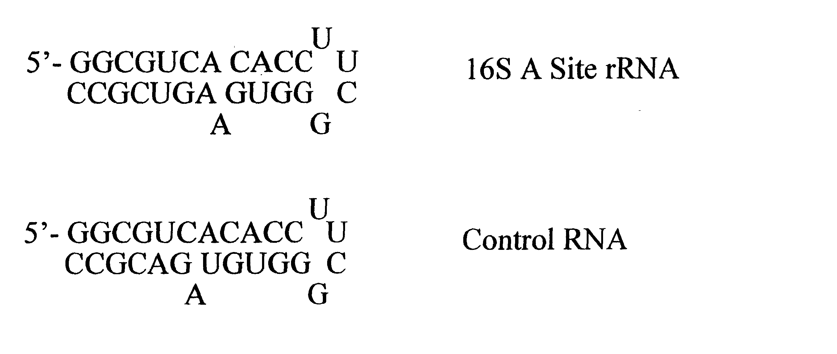 Mass spectrometric methods for biomolecular screening