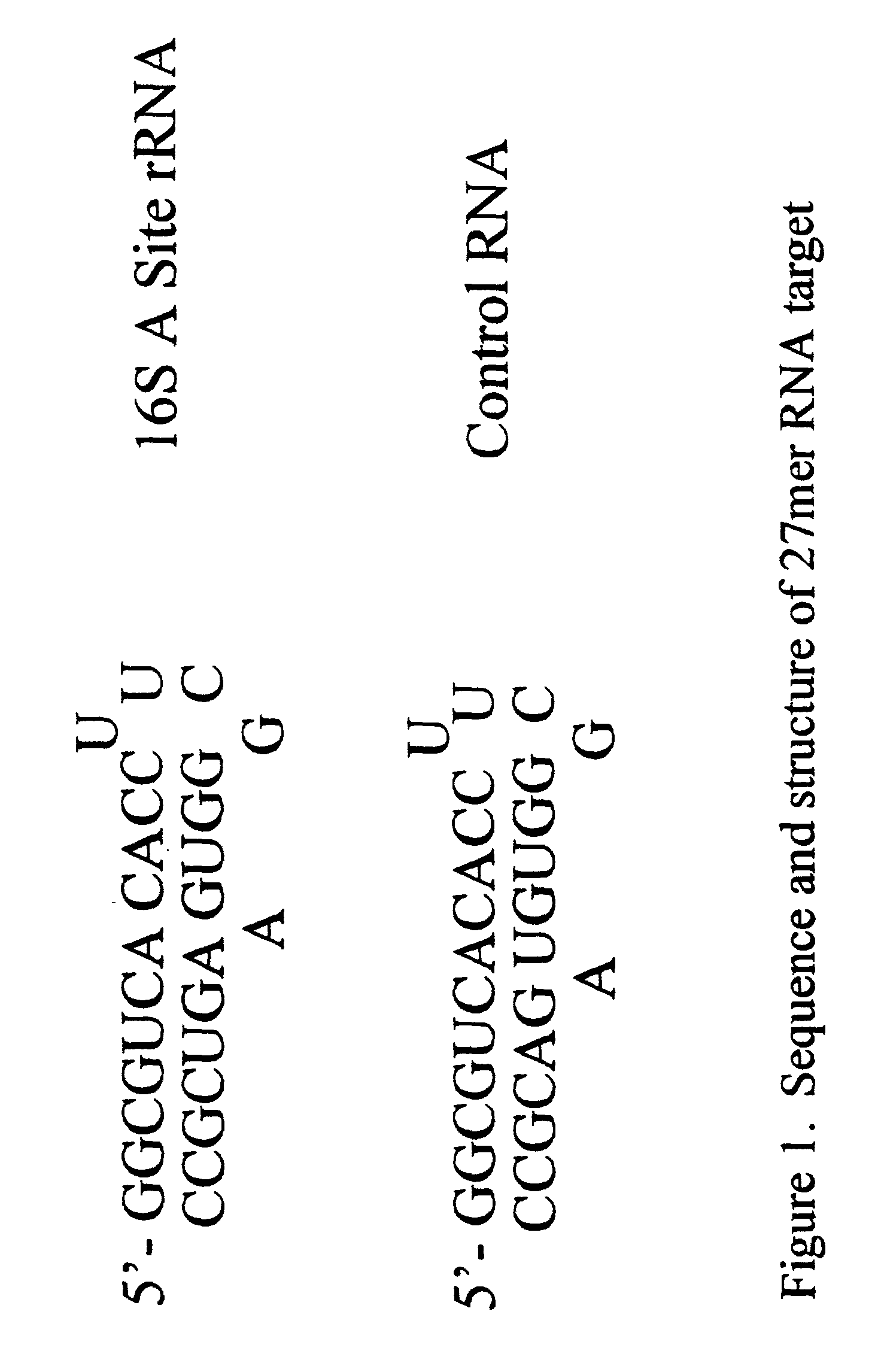 Mass spectrometric methods for biomolecular screening