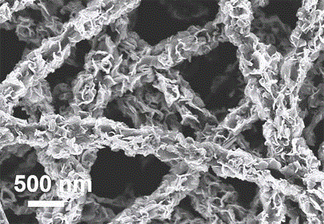 Tungsten disulfide/carbon nanofiber/graphene composite material and preparation method thereof