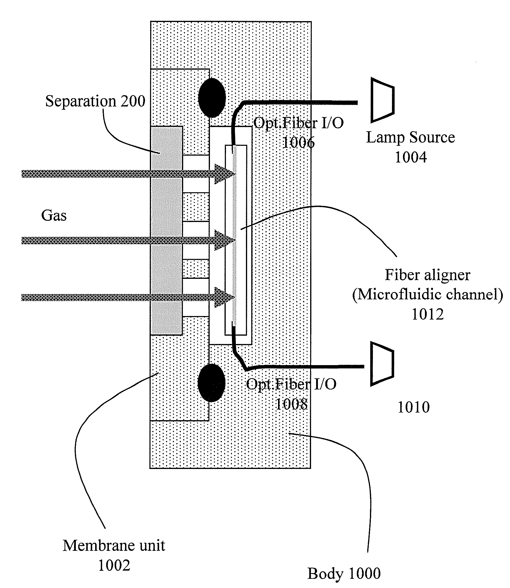 Detecting gas compounds for downhole fluid analysis
