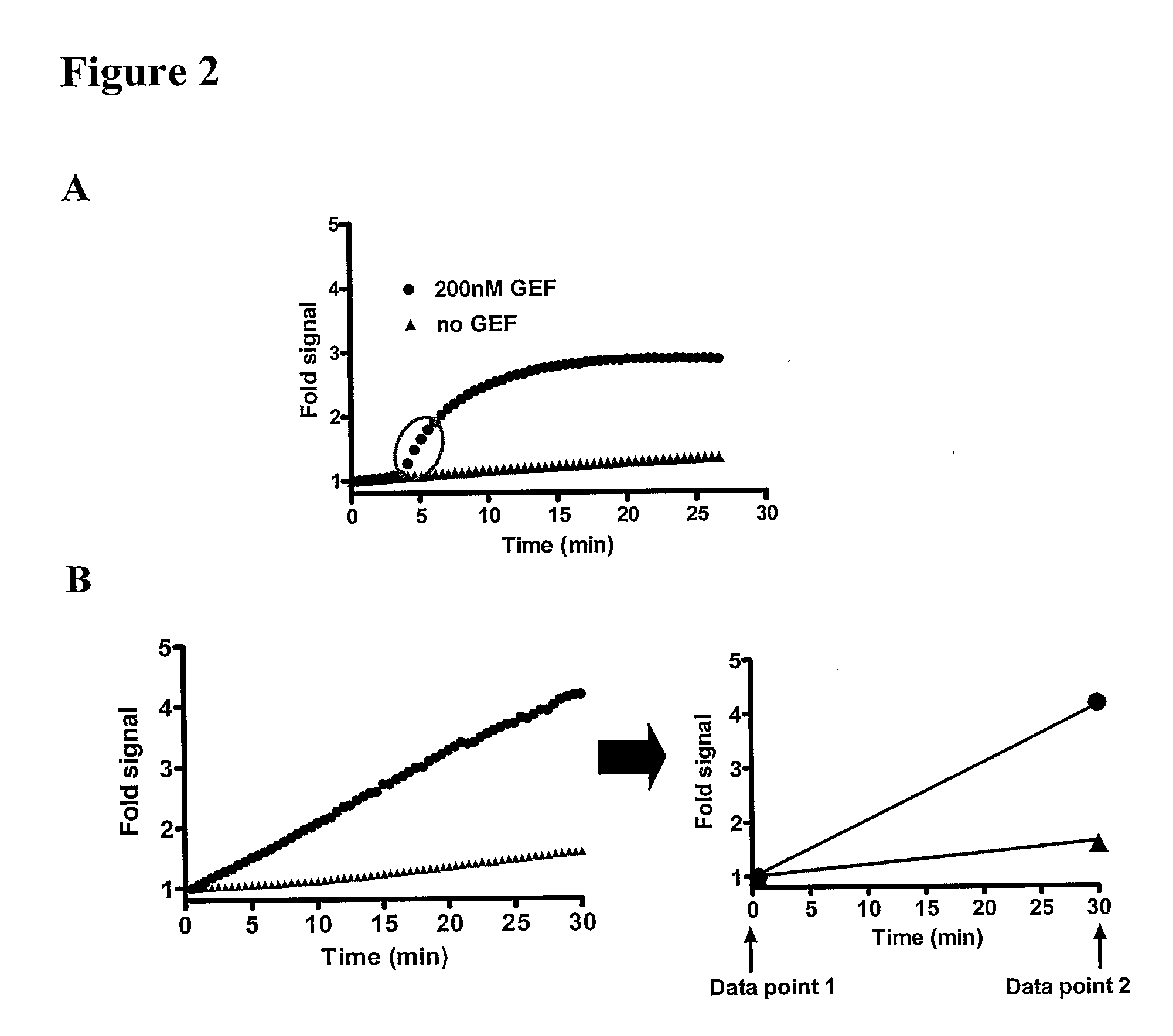 Methods For Identifying Chemical Modulators Of Ras Superfamily Gptase Activity