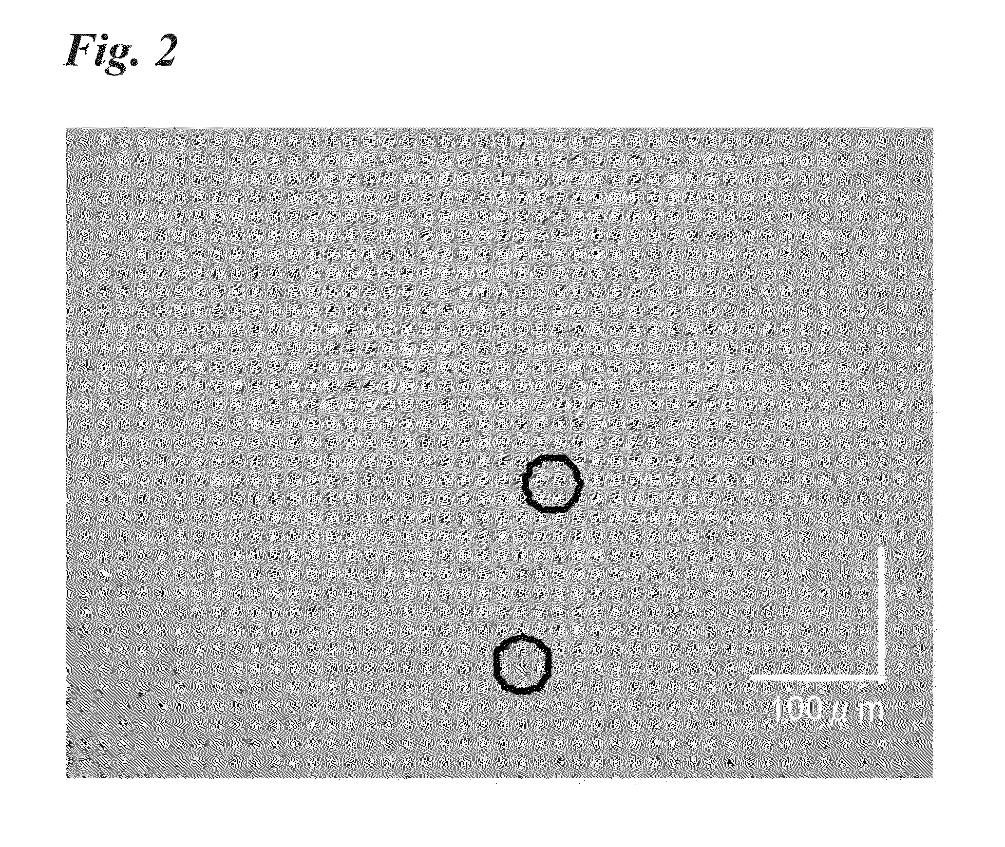 Photosensitive element, method for forming resist pattern, and method for producing printed circuit board