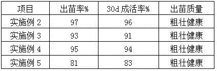 Panicum virgatum and wild soybean mixed seeding technology for saline-alkali soil