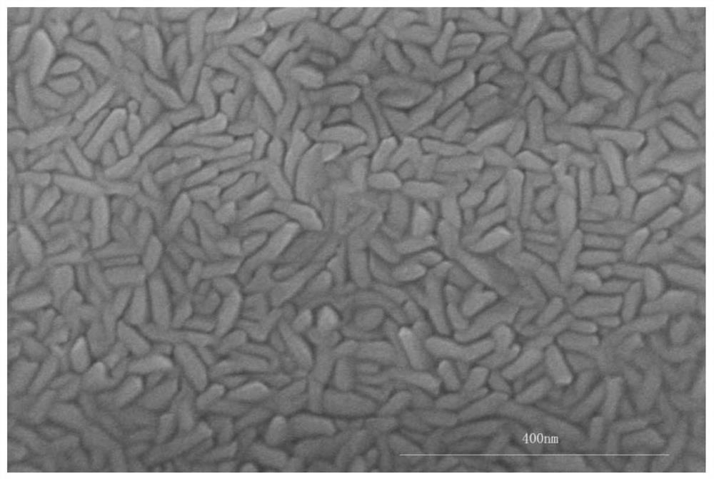 Preparation method of a high-hardness quaternary refractory high-entropy alloy thin film