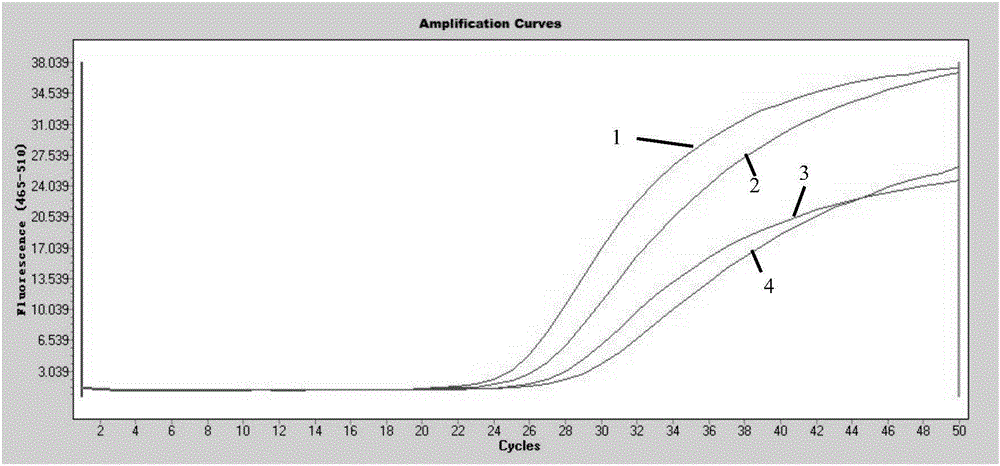 Gene methylation detection method, detection kit and application thereof