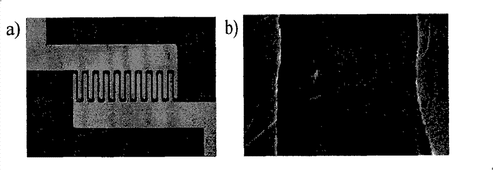 Method for manufacturing biological detector of field effect transistor based on carbon nano tube
