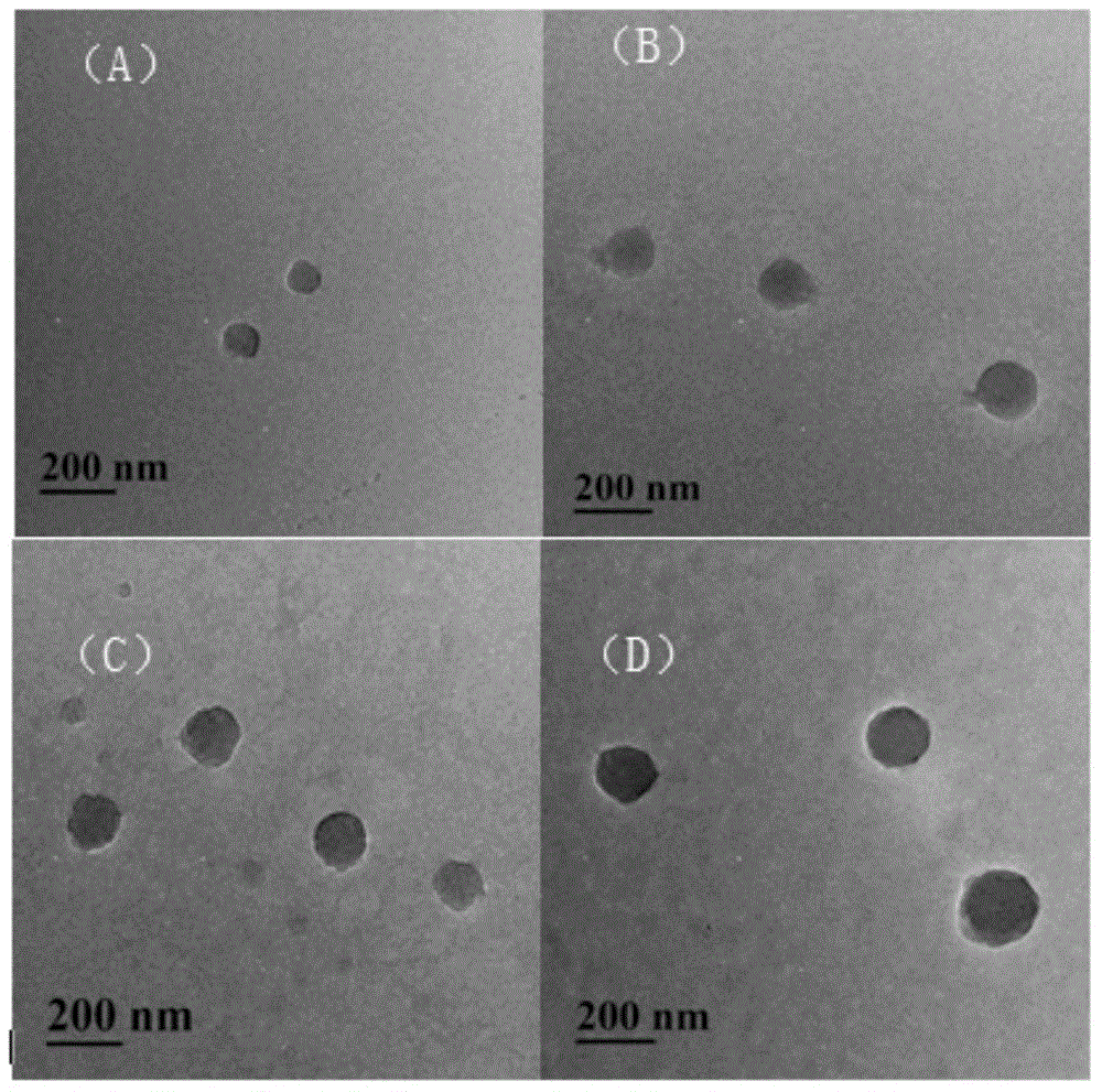 Photosensitive amphiphilic copolymer containing thymine and self-assembled micelle thereof