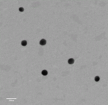 A kind of fenofibrate nano suspension and preparation method thereof