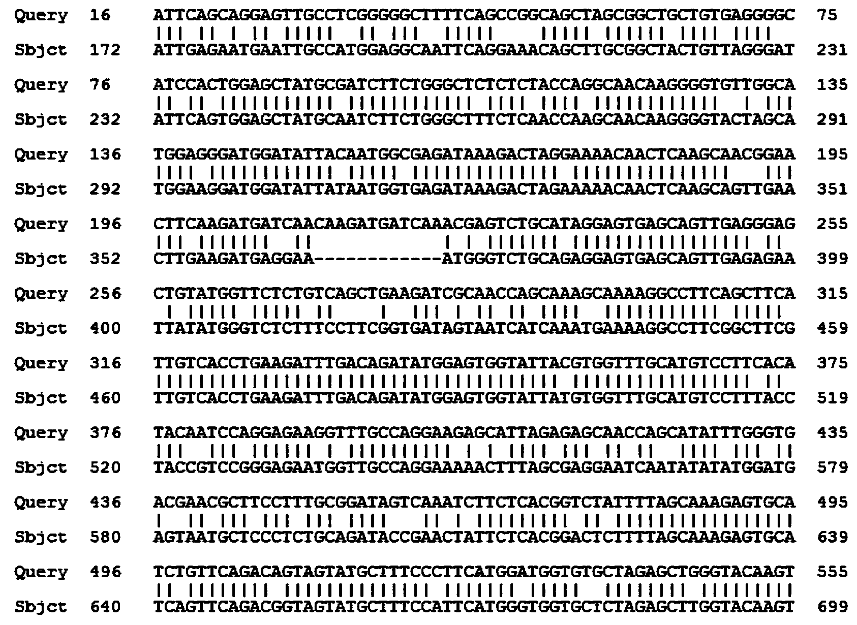 Tulipa gesneriana TfbHLH1 protein, encoding gene thereof and probe