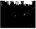 A vehicle detection method based on target feature points