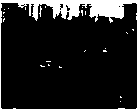 A vehicle detection method based on target feature points