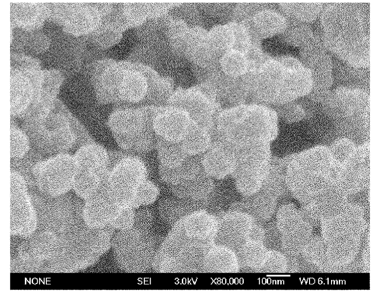 Aqueous conducting anti-corrosive paint containing nano core-shell structure polypyrrole