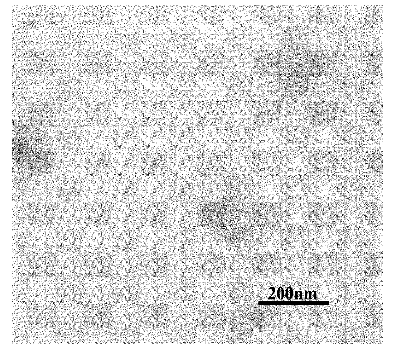 Aqueous conducting anti-corrosive paint containing nano core-shell structure polypyrrole