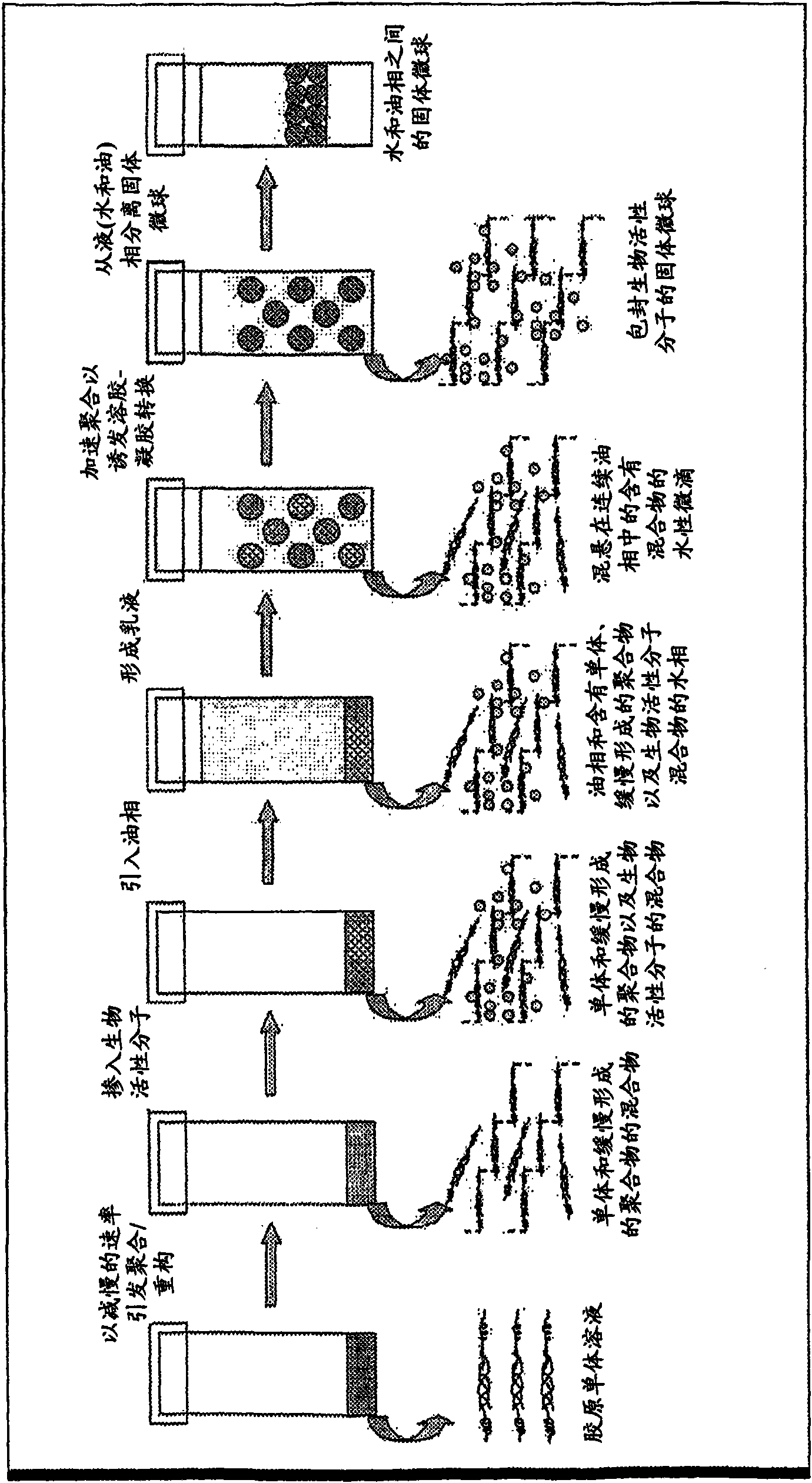 Collagen-based microspheres and methods of preparation and use thereof