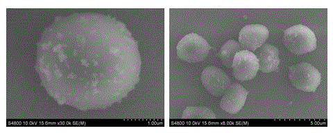 Method for preparing magnetized and hydroformyled sheep red blood cell