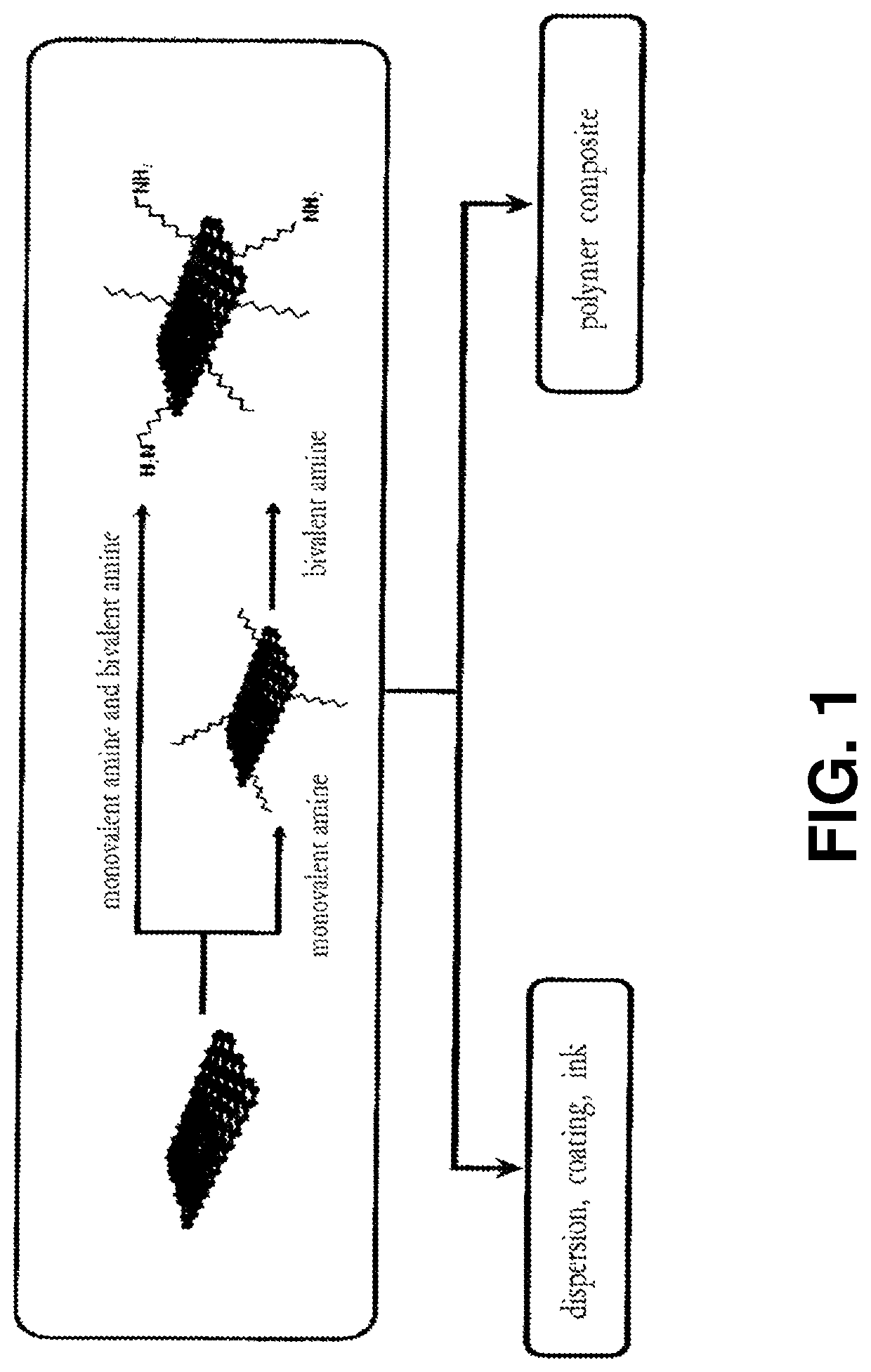 Functionalized graphene comprising two or more types of amines, and preparation method therefor