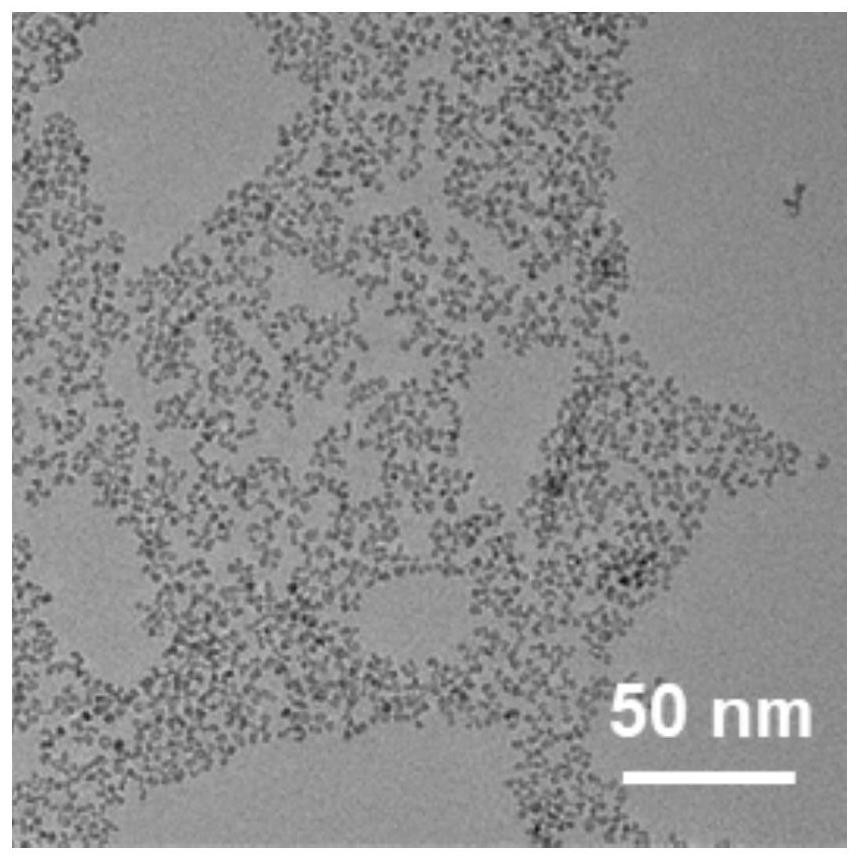 Application of cerium oxide nano-enzyme with active oxygen scavenging capacity in treatment of alopecia