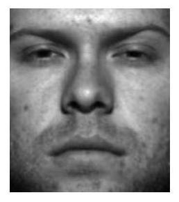 A Face Recognition Method Based on Weighted Huber Constrained Sparse Coding