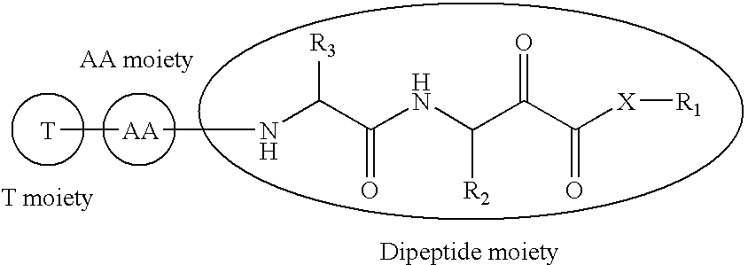 Alpha-Keto Carbonyl Calpain Inhibitors